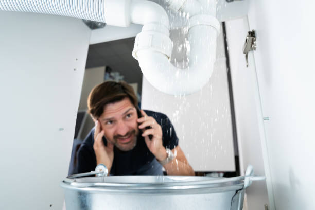 Best Local Plumber Services  in Reidland, KY