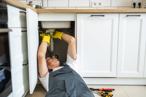 Best Septic Systems  in Reidland, KY