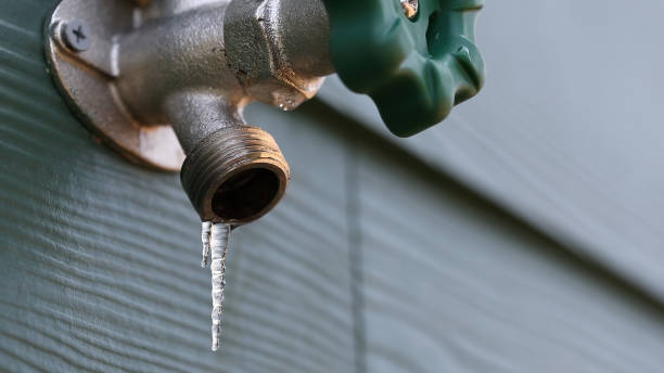 Best Leak Detection Services  in Reidland, KY
